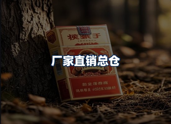 专业团队办公环境